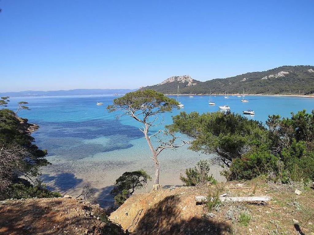 183 ILE DE PORQUEROLLES -3_000019.jpg